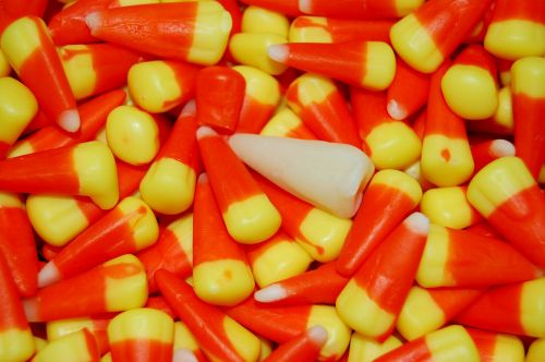candy candy corn sweet