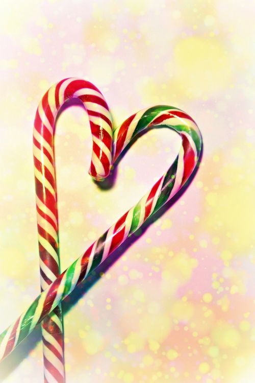 candy cane sweetness sweet