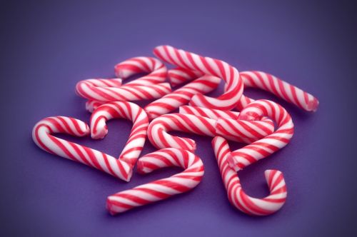 candy cane candy cane
