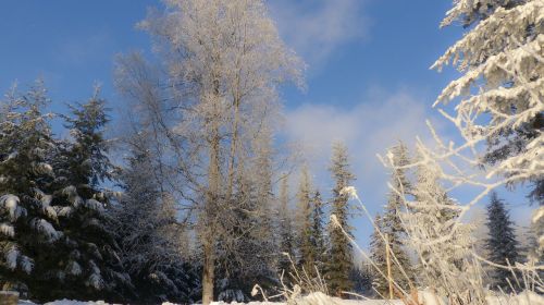 canim lake british columbia canada