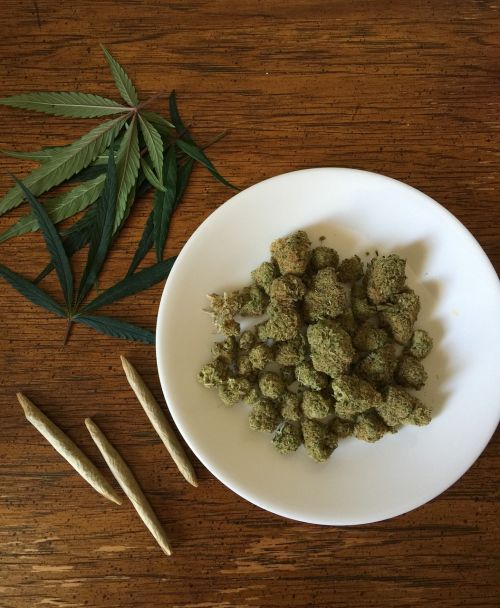 cannabis marijuana weed