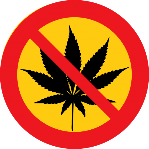 cannabis marihuana drugs