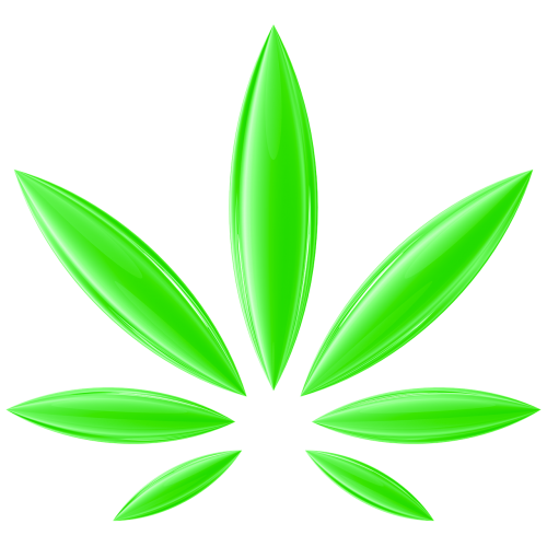 cannabis hemp ganja