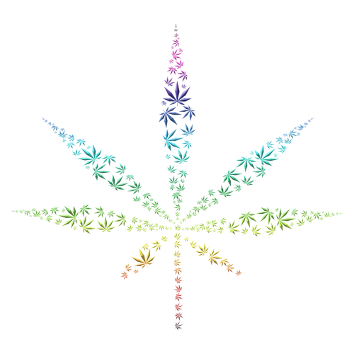 cannabis weed marijuana