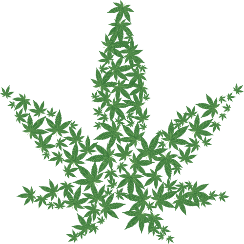cannabis drug forbidden