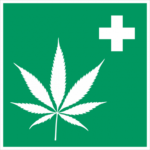 cannabis hemp intoxicant