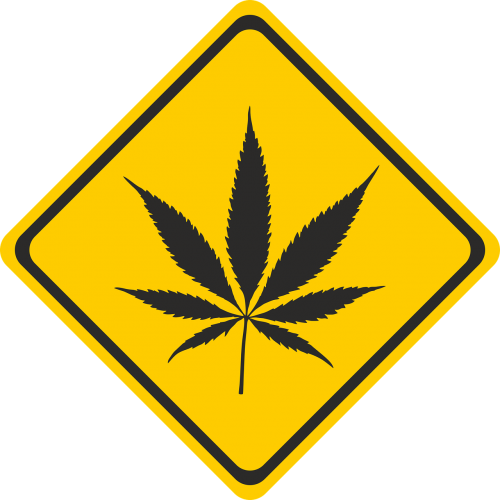 cannabis hemp intoxicant