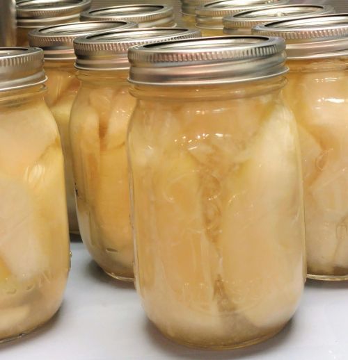 canning pears jars