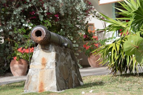 cannon  fort  big gun