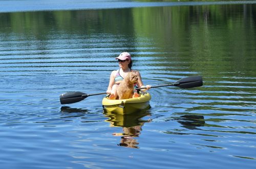 canoe lake dog