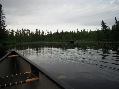 canoe lake calm