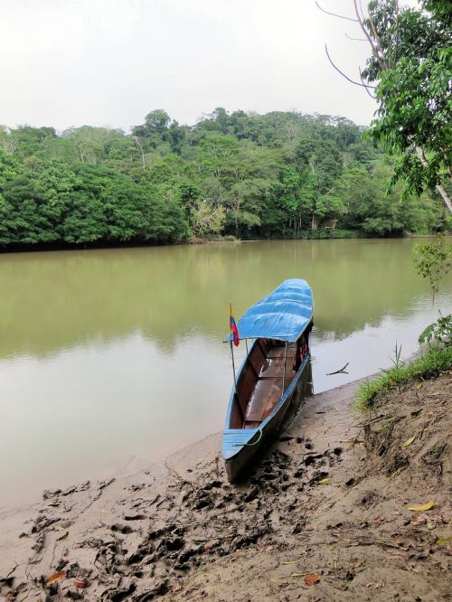 canoe amazonie rio-napo