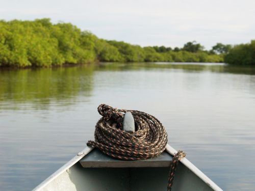 canoe river jungle