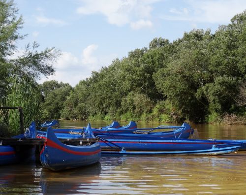 canoeing river canoes