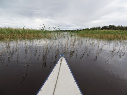 canoeing bug lake