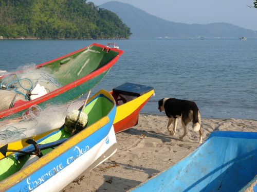 canoes beach dry bar