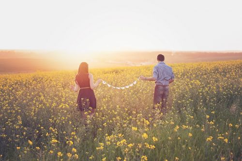 canola couple field