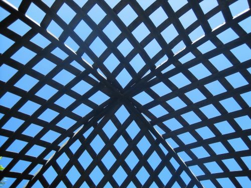 Canopy Grid Against The Sky