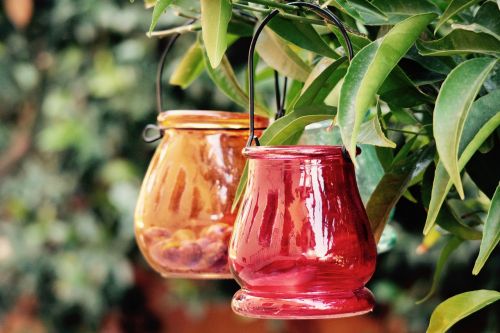 cans vases glass garden