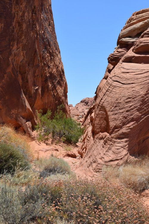 canyon the valley of fire nevada