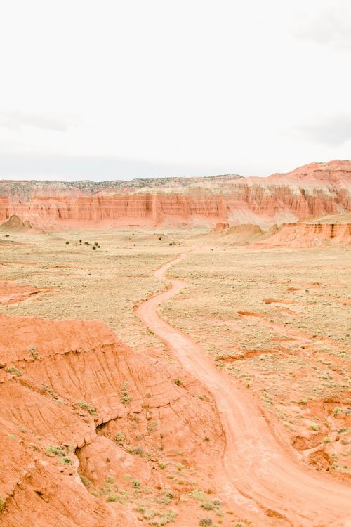 canyon park landscape