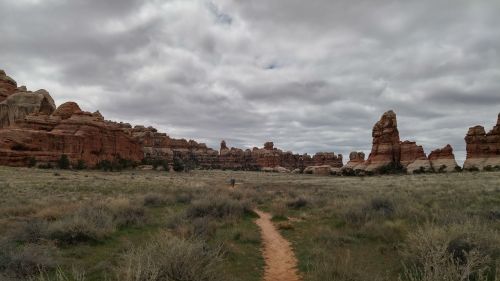 canyonlands rock landscape