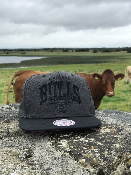 cap bulls ireland