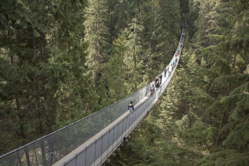 capilano suspension bridge wilderness forest