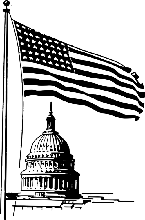 capitol washington dc flag