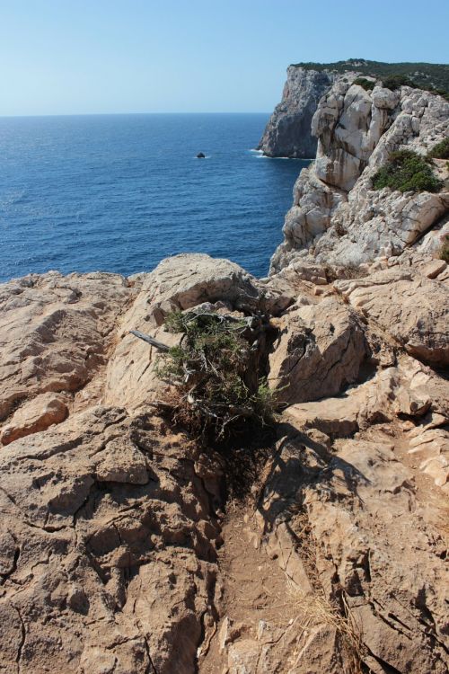 capo caccia sea sardinia