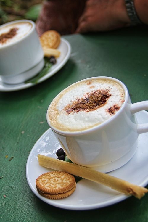 cappuccino coffee cup