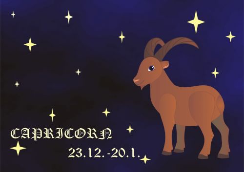 capricorn zodiac horoscope