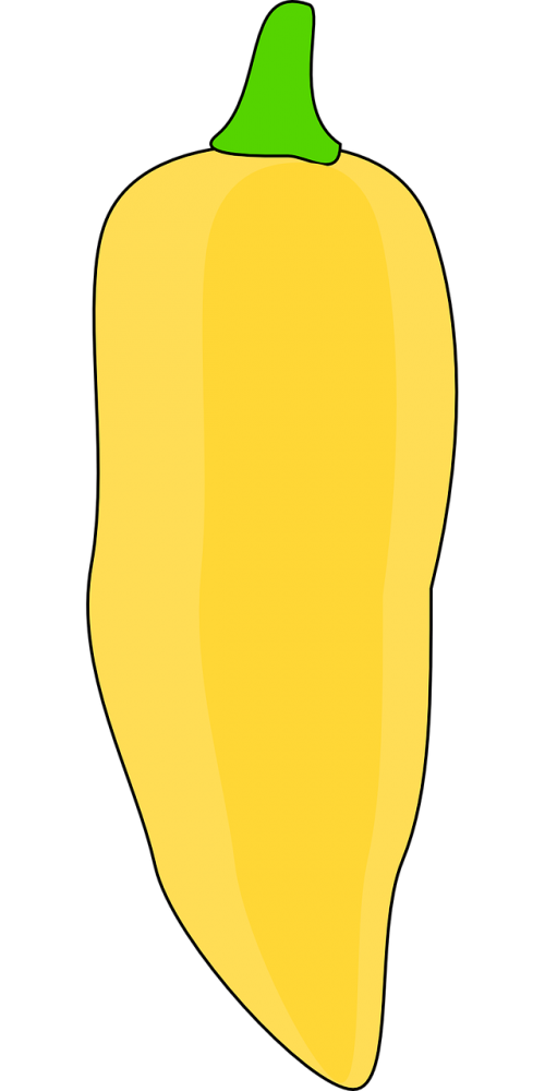 capsicum paprika yellow