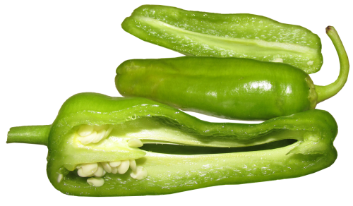 capsicum vegetable pepper