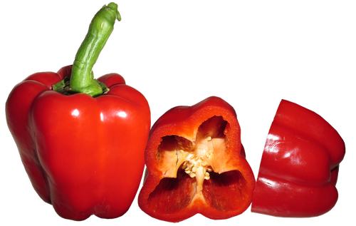 capsicum  red  vegetable