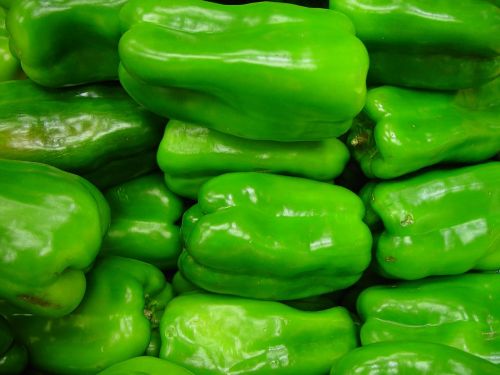 capsicum green pepper