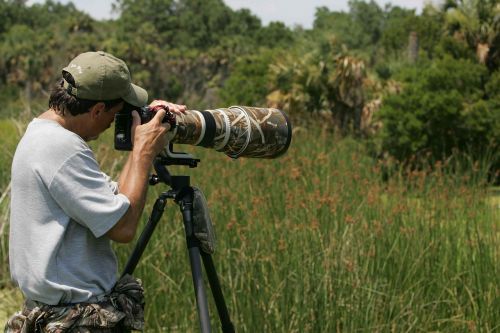 captures photographer wildlife