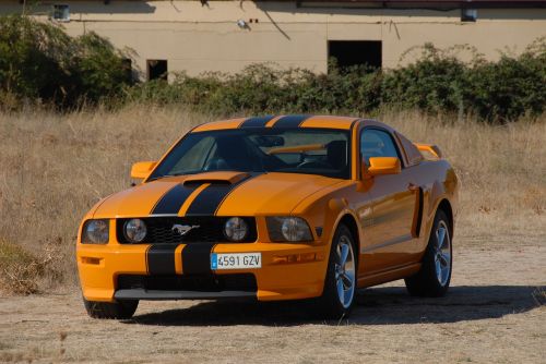 car mustang vehicle