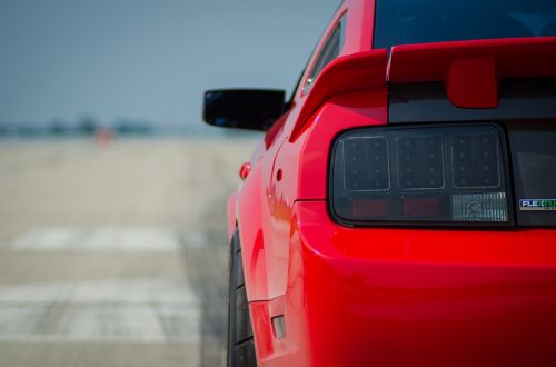 car mustang horse