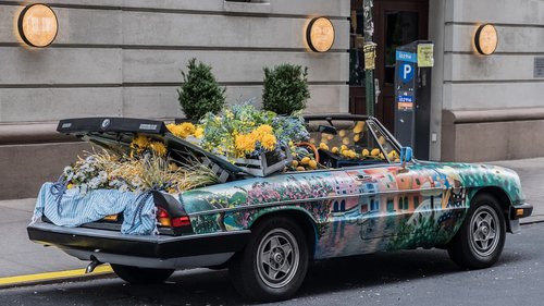 car  convertible  fruit