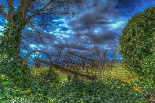 car  landscape  sky