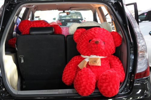 car teddy space wagon