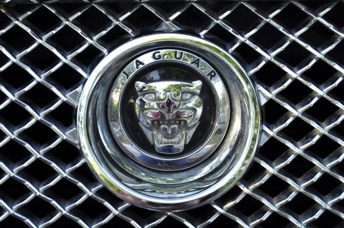 car character jaguar