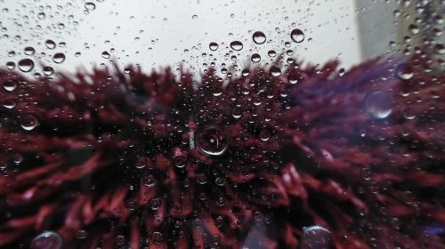 car wash inside view window
