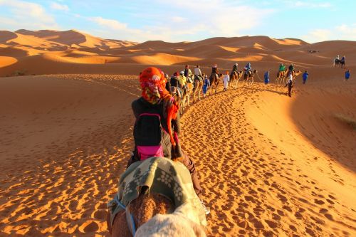 caravan camels adventure