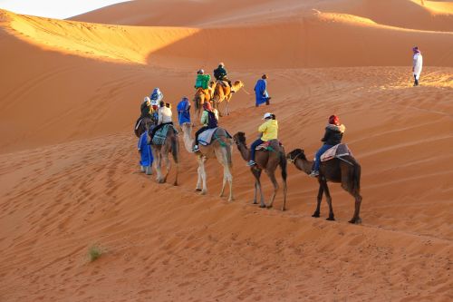caravan camel riding trip