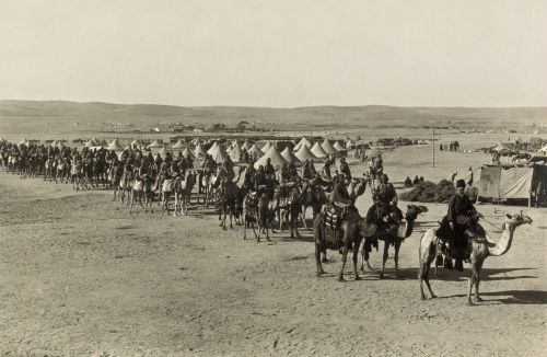 caravan camels beersheba