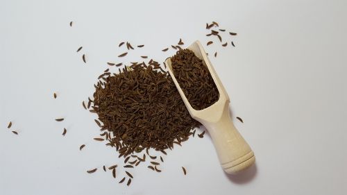 caraway herbs spices