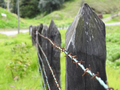carca barbed wire field