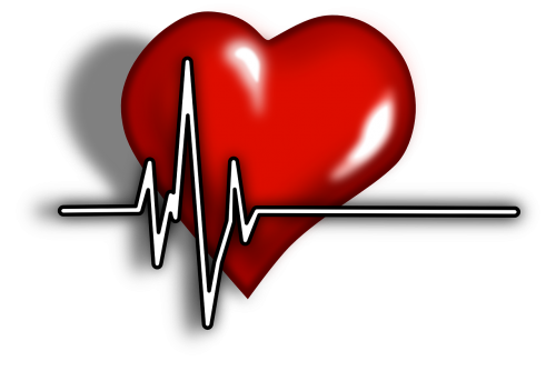cardiac pulse systole